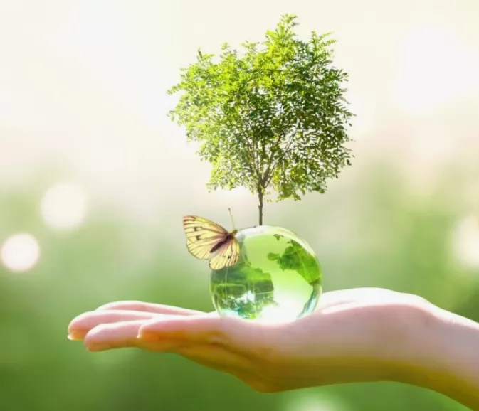 Certified & Sustainable